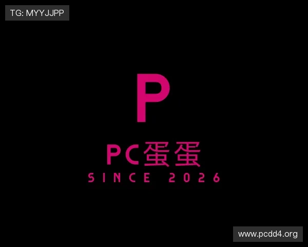 洞察pc蛋蛋